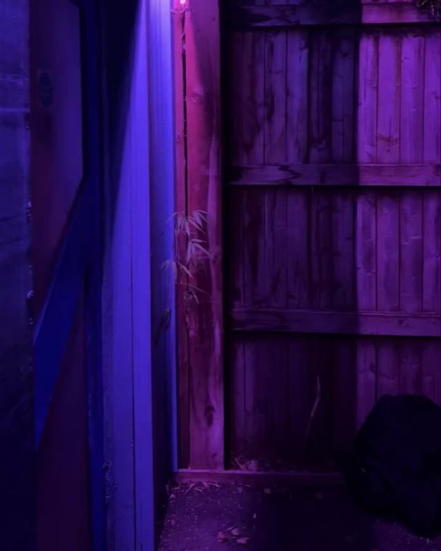 Trailers returns for its 4th year, with new scenes which have increased the intensity throughout the attraction! We loved all the new touches throughout, as well as the Director-focused pre show!
